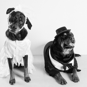 Fundraising Page: Tank and Adelina Mays